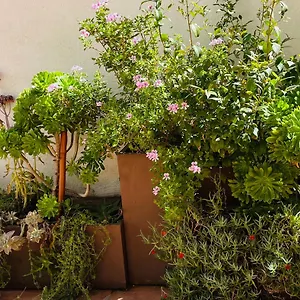Appartement Center, Figueras